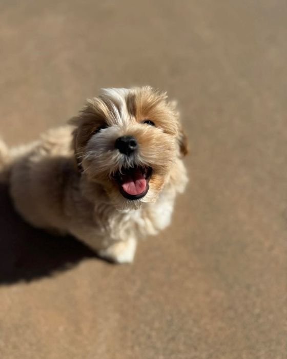 Close-up of Joy looking up with a happy open mouth